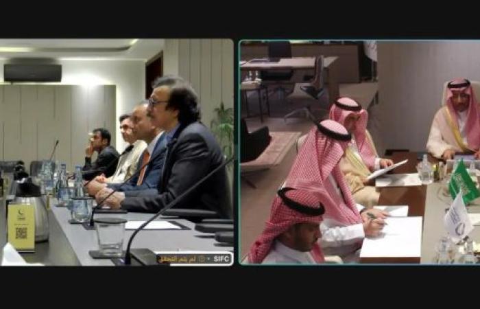 وزير الصناعة يناقش فرص توسيع الشراكة الصناعية مع نظيره الباكستاني