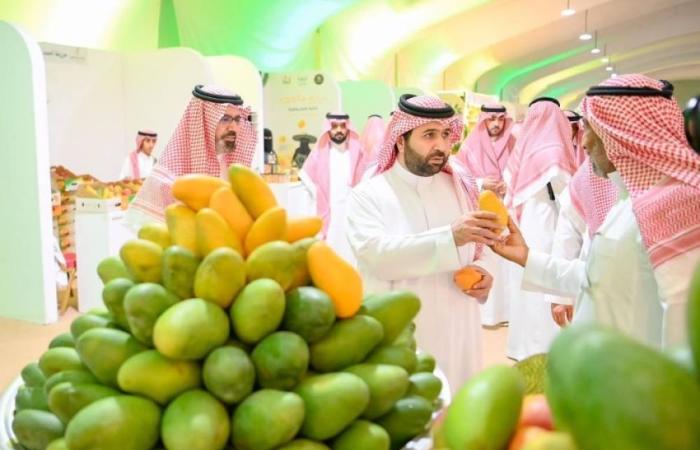 50 مزارعاً ومليون شجرة.. صبيا تحتفي بموسم المانجو وتبرز قوتها الزراعية