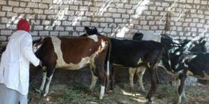 إطلاق قافلة بيطرية مجانية بقرية زوير فى المنوفية الأربعاء المقبل