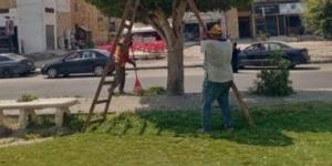 تعرف على كيفية المشاركة فى مبادرة المشروعات الخضراء بالبحيرة