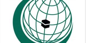 منظمة التعاون الإسلامي تُدين دخول طائرات مسيّرة المجال الجوي للمملكة