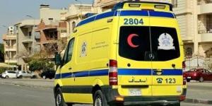 مصرع شخص وإصابة 3 آخرين فى انقلاب براميل به مواد كيماوية بالدقهلية