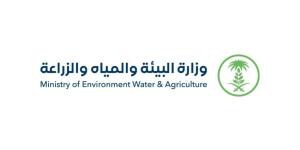 البيئة: وفرة عالية من الأضاحي لتلبية احتياجات ضيوف الرحمن خلال موسم الحج