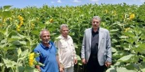 زراعة الإسماعيلية تواصل جولاتها لمتابعة المحاصيل خلال عيد الأضحى