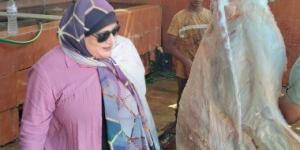 «بيطري الإسماعيلية» يتابع أعمال ذبح الأضاحي بمجازر أبو صوير والقصاصين