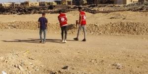 محافظ قنا يوجه بتكثيف حملات تحصين الكلاب الضالة