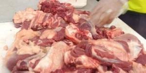 الوادى الجديد: توزيع لحوم 54 أضحية للأسر المستحقة بالمراكز خلال عيد الأضحي