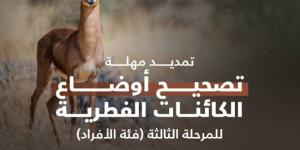 تمديد المرحلة الثالثة من مبادرة تصحيح أوضاع الكائنات الفطرية حتى 30 يونيو المقبل