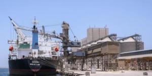 تداول 27 سفينة متنوعة داخل ميناء دمياط