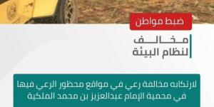 الأمن البيئي يضبط مواطنًا لارتكابه مخالفة رعي في مواقع محظورة