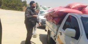 استلام 309 ألف طن  قمح محلى بصوامع وشون بني سويف