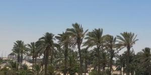 ارتفاع طفيف فى درجات الحرارة واستقرار الأحوال الجوية بمدن شمال سيناء