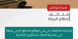 الأمن البيئي يضبط مواطنًا لارتكابه مخالفة رعي في مواقع محظور الرعي فيها