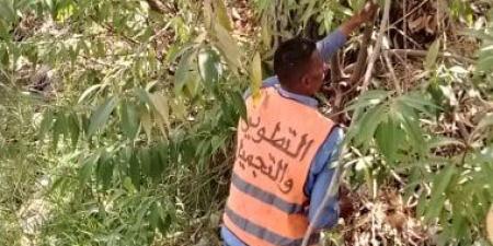 رفع كفاءة وتجميل ميادين ومداخل الإسماعيلية استعدادا لاستقبال عيد الأضحى.. صور