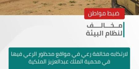 الأمن البيئي يضبط مواطنًا لارتكابه مخالفة رعي في مواقع محظور الرعي فيها