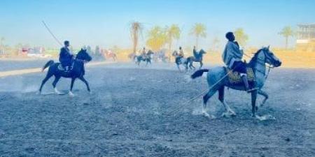 مهارة وسيطرة على الخيل.. عروض الخيالة تبهر جمهور مولد الشيخ عتمان بقنا.. فيديو
