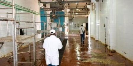 مدير الطب البيطري بجنوب سيناء: الذبح مجانا بالمجازر الحكومية خلال عيد الأضحى