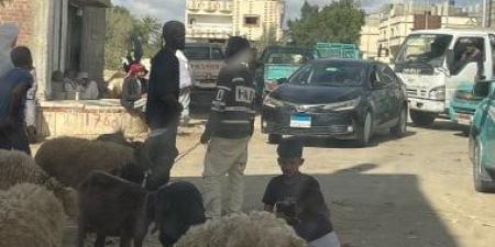 أسواق الأضاحى بشمال سيناء تواصل نشاطها حتى غروب الشمس