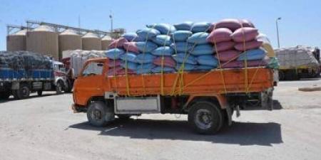 تموين المنوفية: توريد 146 ألف 500 طن قمح منذ بدء موسم الحصاد
