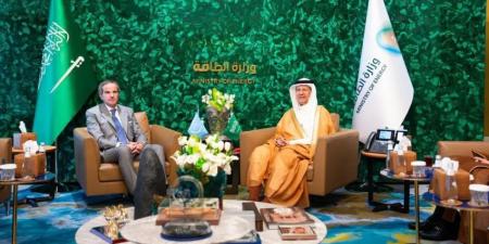 وزير الطاقة ومدير الوكالة الدولية للطاقة الذرية يبحثان سبل تعزيز التعاون الفني والتقني
