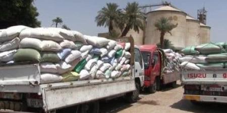 محافظ سوهاج: توريد 184 ألف قمح إلى الشون والصوامع