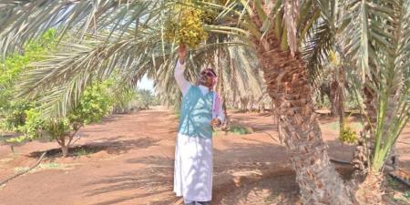 جولات ميدانية لبيئة رابغ للحد من حرائق مخلفات المزارع