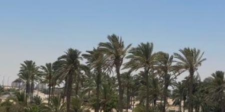 ارتفاع طفيف فى درجات الحرارة واستقرار الأحوال الجوية بمدن شمال سيناء