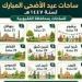 510 ساحات لصلاة عيد الأضحى بالقليوبية.. واستعدادات مكثفة من الأوقاف