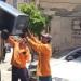 محافظ الإسكندرية: رفع نحو 78 ألف طن مخلفات من مختلف الأحياء منذ بداية يونيو