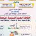 جامعة دمنهور تطلق "القافلة الطبية التنموية الشاملة" بقرية بويط الخميس المقبل