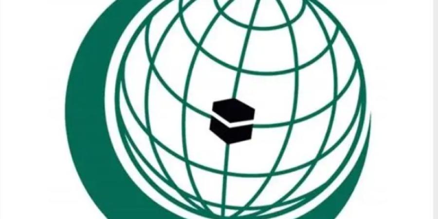 منظمة التعاون الإسلامي تُدين دخول طائرات مسيّرة المجال الجوي للمملكة