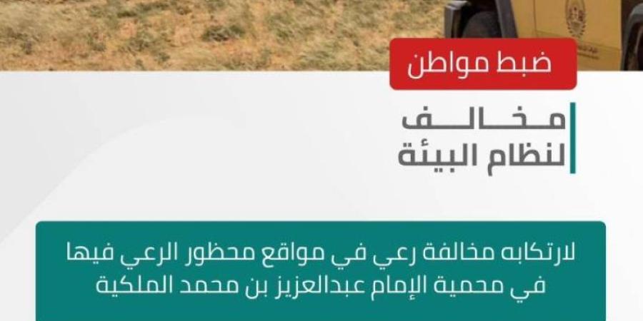 الأمن البيئي يضبط مواطنًا لارتكابه مخالفة رعي في مواقع محظوره