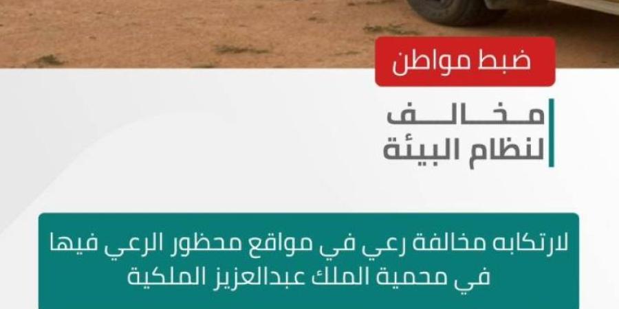 الأمن البيئي يضبط مواطنًا لارتكابه مخالفة رعي في مواقع محظور الرعي فيها