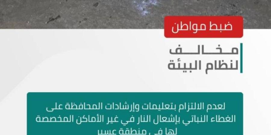 ضبط مخالف لنظام البيئة في عسير