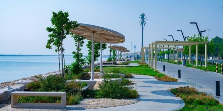 الدمام تستعد لاستقبال عيد الأضحى وتعزيز الرقابة على الملاحم والمطابخ