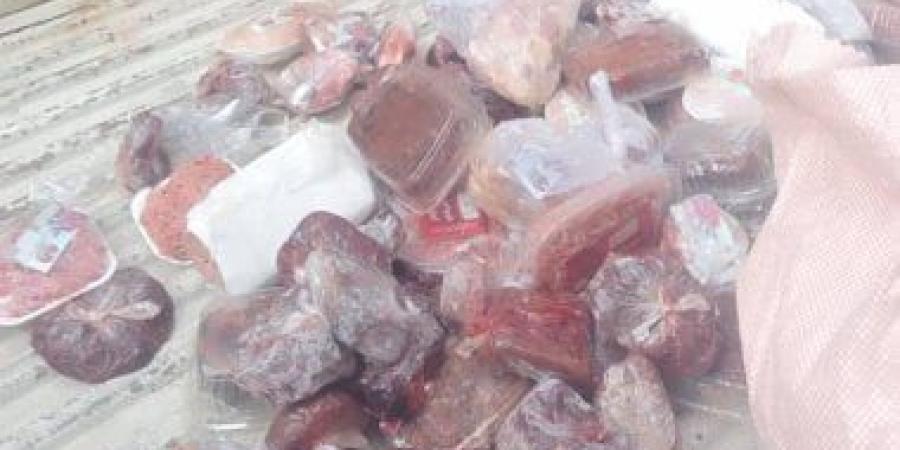 تحصين 155710 طيور متنوعة بلقاحات الدواجن بكفر الشيخ وتحرير 25 محضرا للمخالفين