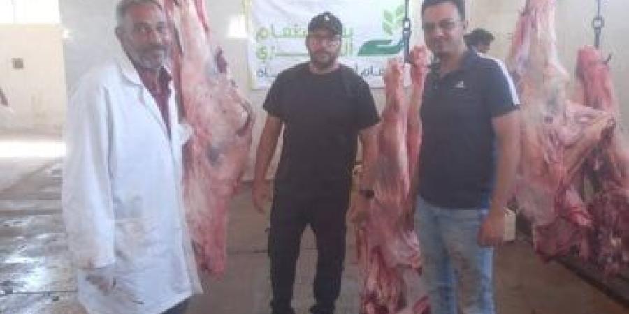 فى ثالث أيام العيد.. ذبح 65 عجلا بمجازر الأقصر وتوزيع لحومها على 13000 أسرة مستحقة