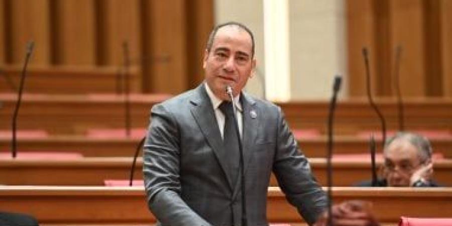النائب مجاهد نصار: العلمين الجديدة تحولت لمركز جذب حقيقي للاستثمارات المحلية والأجنبية