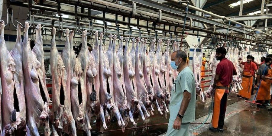 بيئة الشرقية ترصد 173 مخالفة على أسواق النفع العام والمسالخ