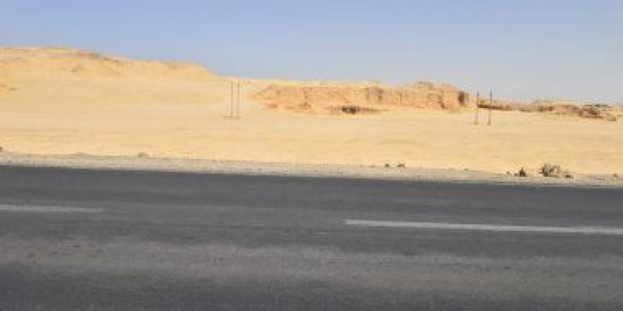 مأوى الكلاب الضالة بأسيوط.. خطة حل الأزمة واستغلال مساحة 5 آلاف متر مربع