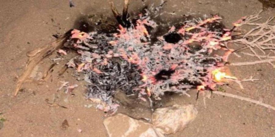 ضبط مخالف أشعل نارًا في مكان غير مخصصة لها بمحمية الأمير محمد بن سلمان
