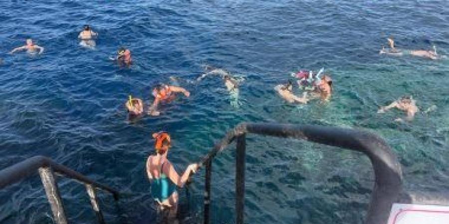 حفاظاً على الحياه البحرية.. محميات البحر الأحمر تضع قواعد وسلوكيات لممارسة نشاط السنوركلنج