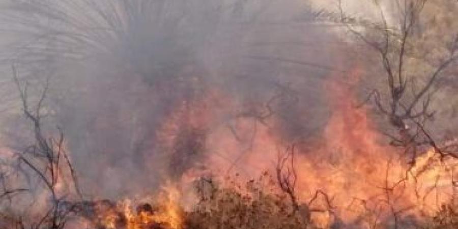 السيطرة على حريق محدود بأشجار ونخيل على حافة نهر النيل بشرق سوهاج