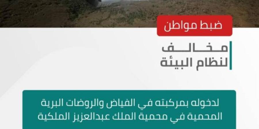 ضبط مخالف لنظام البيئة في محمية الملك عبدالعزيز الملكية