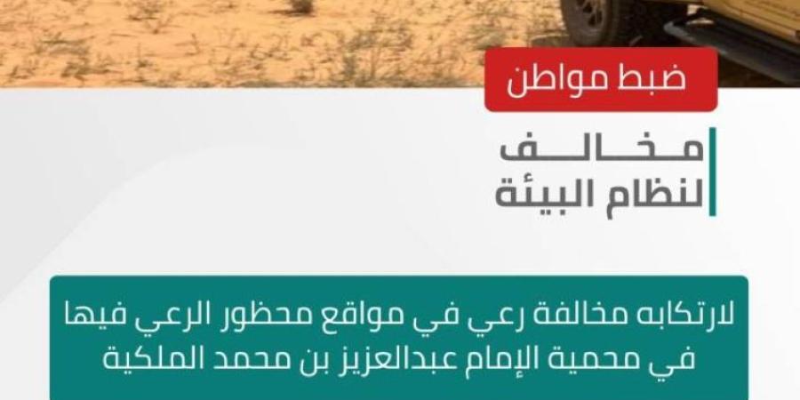 الأمن البيئي يضبط مواطنًا لارتكابه مخالفة رعي في مواقع محظور الرعي فيها