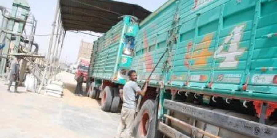 مطحن سلندرات إسنا يخدم موسم القمح بكل قوة بعد تطويره خلال 6 أشهر.. صور