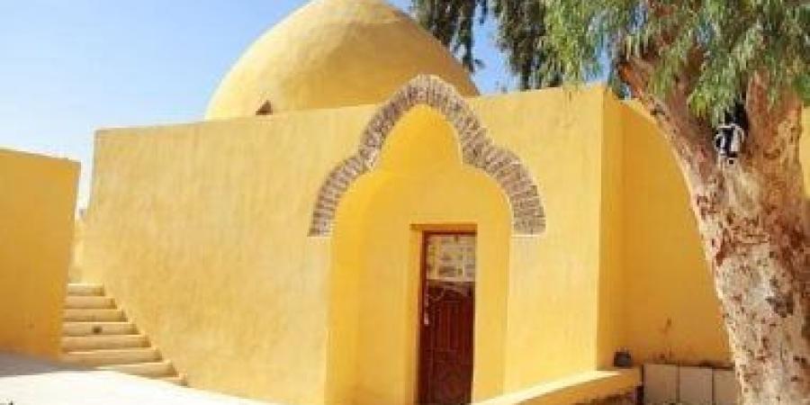 عمرها يتجاوز 1000 عام.. حكاية الشجرة المسحورة فى منطقة البهنسا ببنى مزار.. صور
