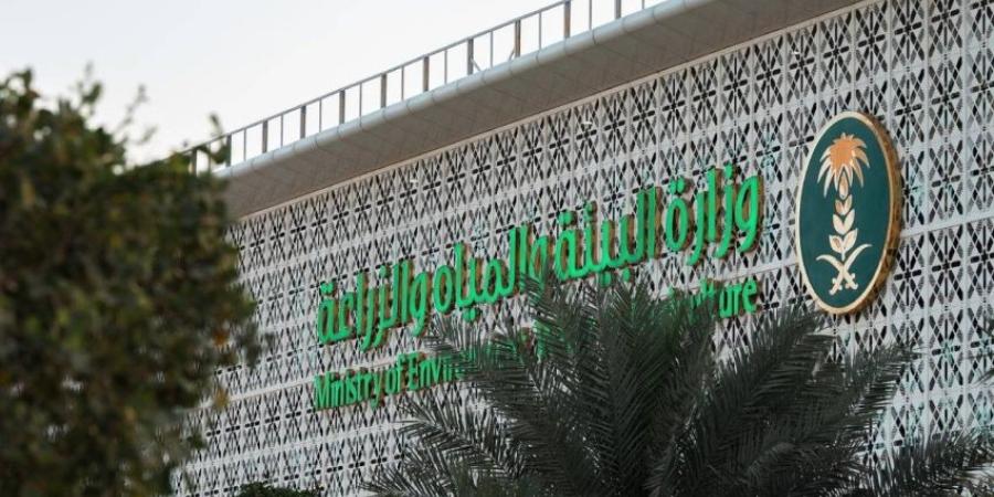 124 مليارًا مساهمة القطاع الزراعي في الناتج المحلي