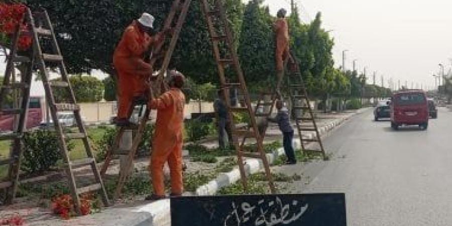 استمرار أعمال التجميل والتشجير ورفع كفاءة المسطحات الخضراء بالإسماعيلية