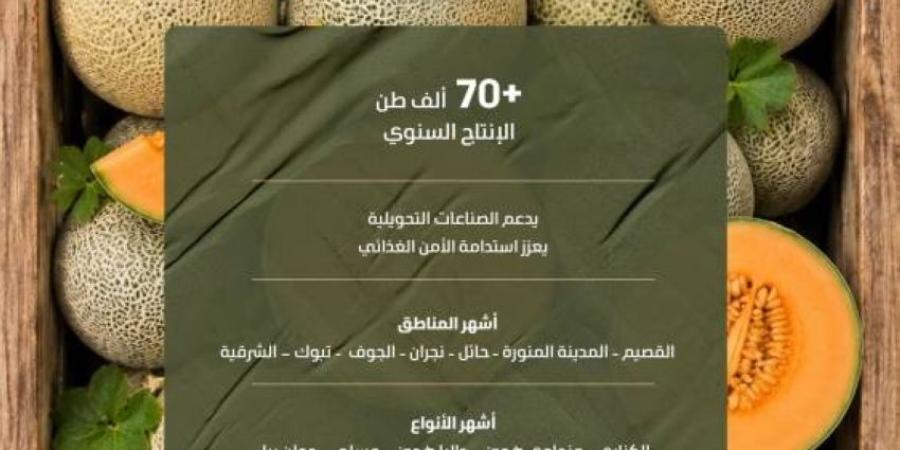 70.5 ألف طن من الشمام المنتج محليًا يغذي أسواق المملكة بأجود الأصناف